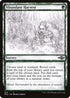Abundant Harvest (Showcase)