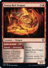Young Red Dragon