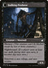 Shady Traveler (Back)