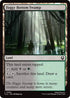 Foggy Bottom Swamp