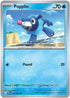 Popplio
