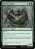 Old Fat Spider