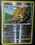 Raticate