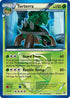 Torterra (Team Plasma)