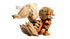 LEGO® Pokémon Arcanine Set 72160